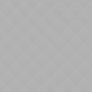 Primary School Scholarship Fund